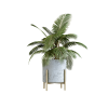 Indoor Plant 02