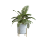 Indoor Plant 02
